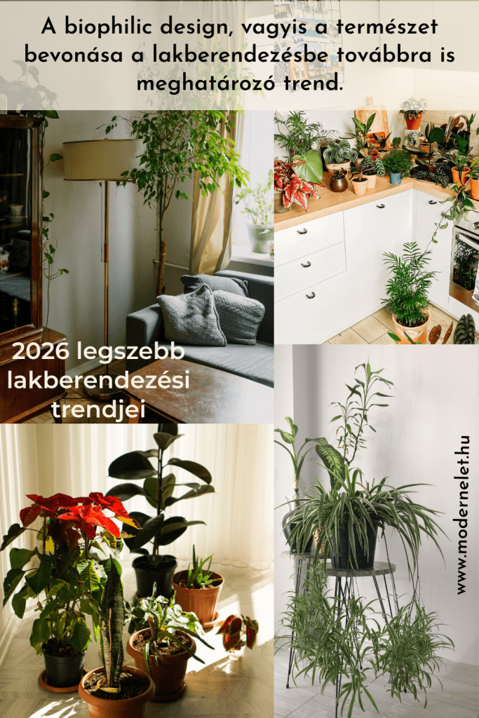 Kis lakás berendezése stílusosan
