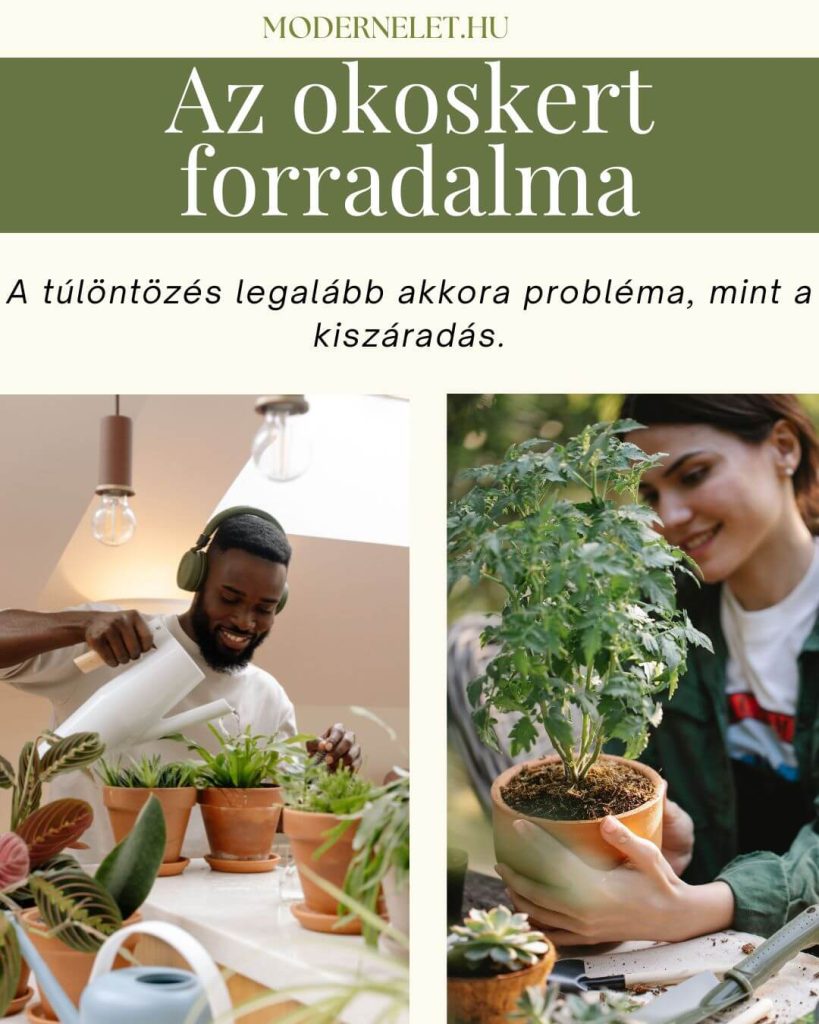 AI a kertben