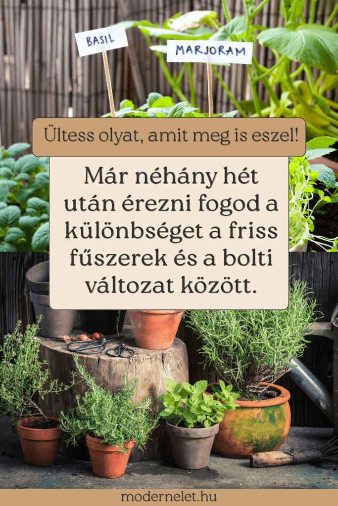Balkon kert ötletek kezdőknek